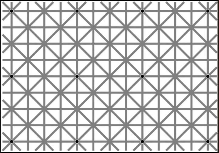 Iluzia optică care a confuzat internetul. Sunt 12 puncte negre &icirc;n imagine. Poți să le vezi pe toate?